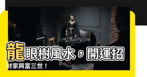 龍眼樹風水|【龍眼樹風水】龍眼樹風水，開運招財家興富三世！